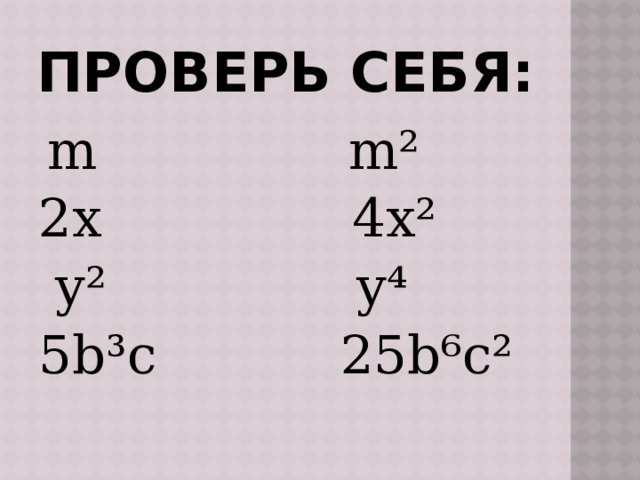 Проверь себя:  m m² 2x 4x²  y² y⁴ 5b³c 25b⁶c² 