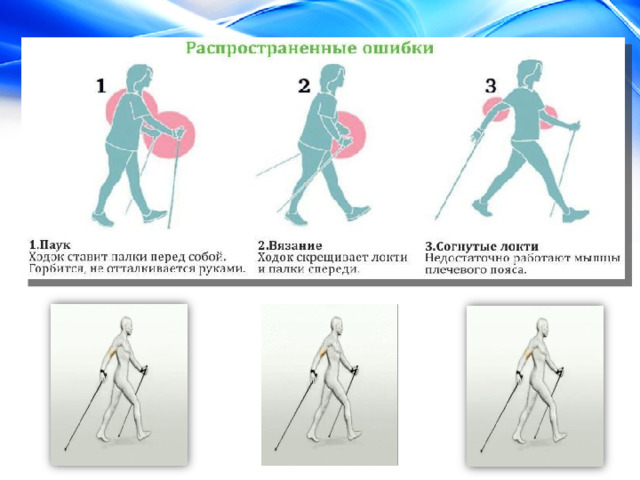 Скандинавская ходьба презентация по физкультуре