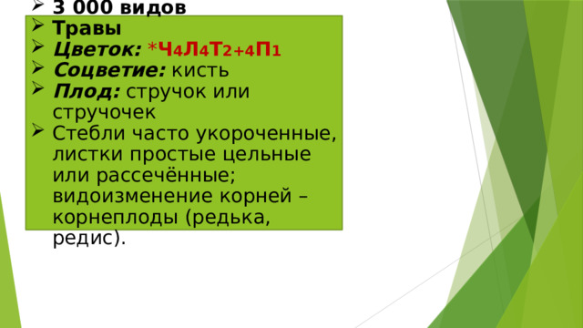 3 000 видов Травы Цветок:  * Ч 4 Л 4 Т 2+4 П 1 Соцветие: кисть Плод: стручок или стручочек Стебли часто укороченные, листки простые цельные или рассечённые; видоизменение корней – корнеплоды (редька, редис). 