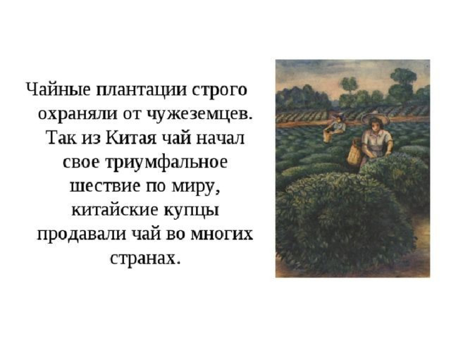 Растения чужеземцы проект