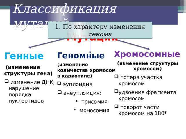 Классификация мутаций: 1. По характеру изменения генома Мутации Хромосомные (изменение структуры хромосом)  потеря участка хромосом удвоение фрагмента хромосом  поворот части хромосом на 180* Генные  (изменение структуры гена)  изменение ДНК, нарушение порядка нуклеотидов Геномные (изменение количества хромосом в кариотипе)  эуплоидия  анеуплоидия:  * трисомия  * моносомия 