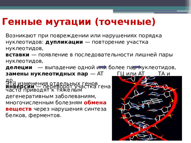 Генные мутации (точечные) Возникают при повреждении или нарушениях порядка нуклеотидов: дупликации  — повторение участка нуклеотидов, вставки  — появление в последовательности лишней пары нуклеотидов, делеции   — выпадение одной или более пар нуклеотидов, замены нуклеотидных пар  — AT  ГЦ или AT    ТА и др., инверсии  — переворот участка гена на 180°. Эти изменения отдельных генов часто приводят к тяжелым дегенеративным заболеваниям, многочисленным болезням обмена веществ через нарушения синтеза белков, ферментов. 