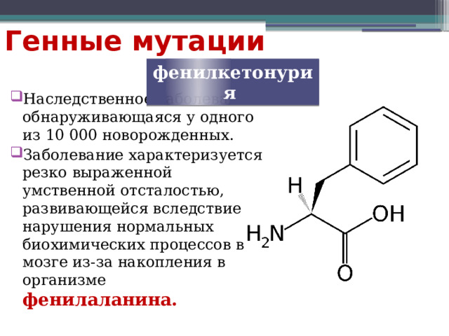 Генные мутации фенилкетонурия Наследственное заболевание обнаруживающаяся у одного из 10 000 новорожденных. Заболевание характеризуется резко выраженной умственной отсталостью, развивающейся вследствие нарушения нормальных биохимических процессов в мозге из-за накопления в организме фенилаланина. 