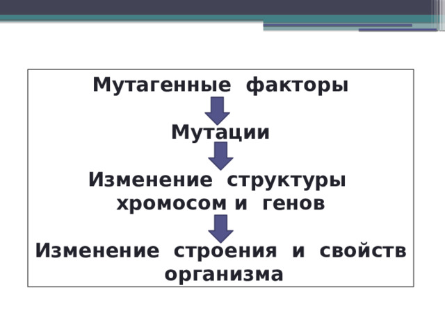 Мутагенные факторы  Мутации  Изменение структуры хромосом и генов  Изменение строения и свойств организма 