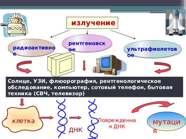  излучение рентгеновское радиоактивное ультрафиолетовое Солнце, УЗИ, флюорография, рентгенологическое обследование, компьютер, сотовый телефон, бытовая техника (СВЧ, телевизор)  Поврежденная ДНК клетка мутация ДНК 