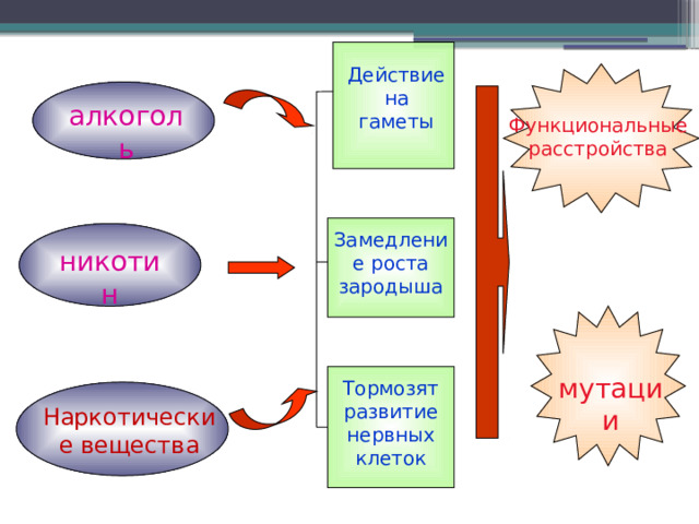 Действие  на  гаметы алкоголь Функциональные расстройства Замедление роста зародыша никотин мутации Тормозят развитие нервных клеток Наркотические вещества 