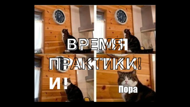 ВРЕМЯ  ПРАКТИКИ ! 