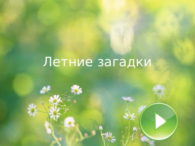 Летние загадки 