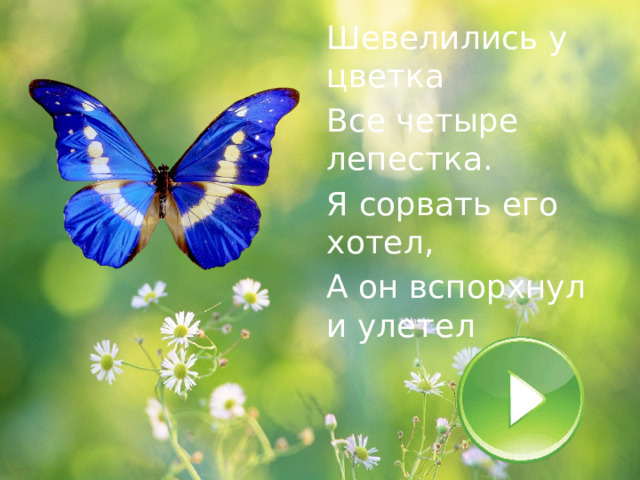 Шевелились у цветка Все четыре лепестка. Я сорвать его хотел, А он вспорхнул и улетел 