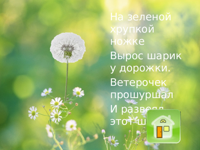На зеленой хрупкой ножке Вырос шарик у дорожки. Ветерочек прошуршал И развеял этот шар.  