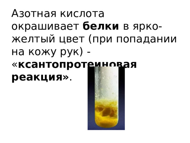 Азотная кислота окрашивает  белки  в ярко-желтый цвет (при попадании на кожу рук) - « ксантопротеиновая реакция» . 