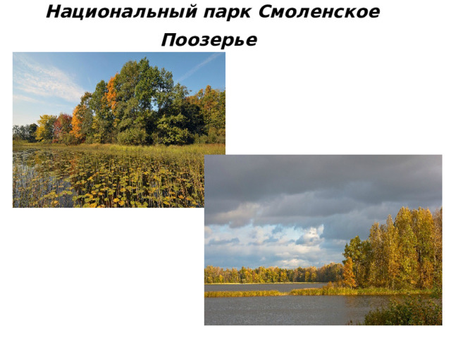 Национальный парк Смоленское Поозерье  