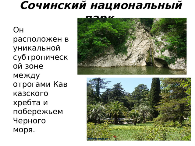 Сочинский национальный парк   Он расположен в уникальной субтропической зоне между отрогами Кав­казского хребта и побережьем Черного моря. 