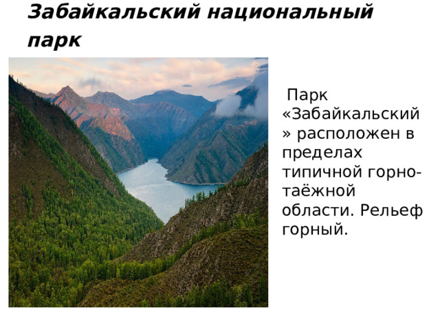 Забайкальский национальный парк   Парк  «Забайкальский» расположен в пределах типичной горно-таёжной области. Рельеф горный. 