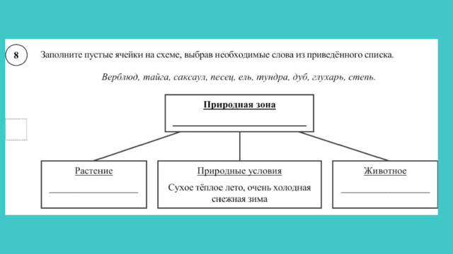 Заполните пустой ряд