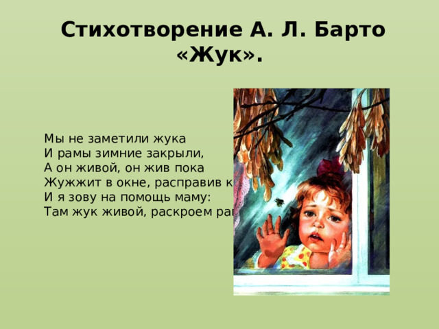  Стихотворение А. Л. Барто «Жук». Мы не заметили жука  И рамы зимние закрыли,  А он живой, он жив пока  Жужжит в окне, расправив крылья.  И я зову на помощь маму:  Там жук живой, раскроем раму. 