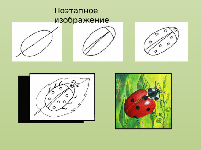 Поэтапное изображение 