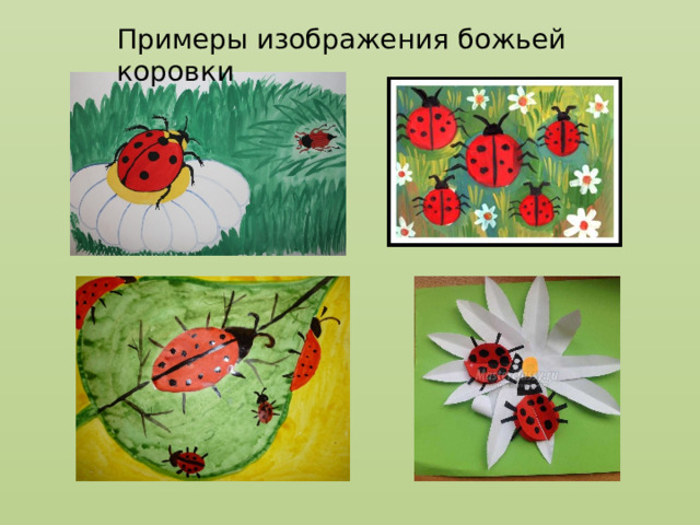 Примеры изображения божьей коровки  