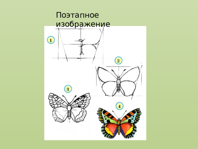 Поэтапное изображение 
