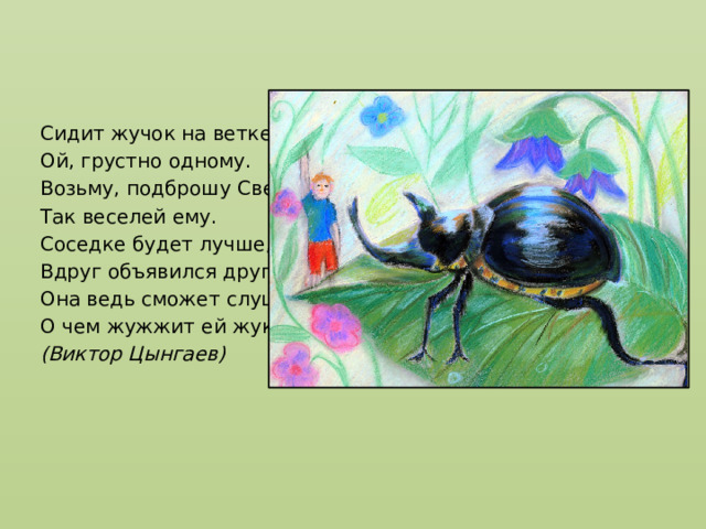 Сидит жучок на ветке: Ой, грустно одному. Возьму, подброшу Светке, Так веселей ему. Соседке будет лучше, Вдруг объявился друг! Она ведь сможет слушать, О чем жужжит ей жук. (Виктор Цынгаев) 