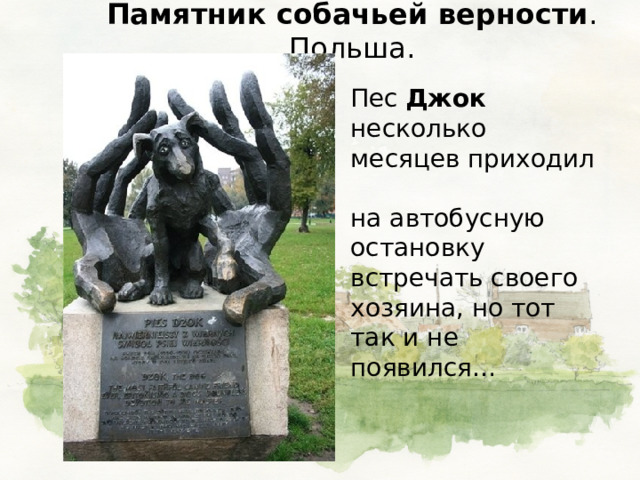 Памятник собачьей верности . Польша.  Пес Джок несколько месяцев приходил  на автобусную остановку встречать своего хозяина, но тот так и не появился… 