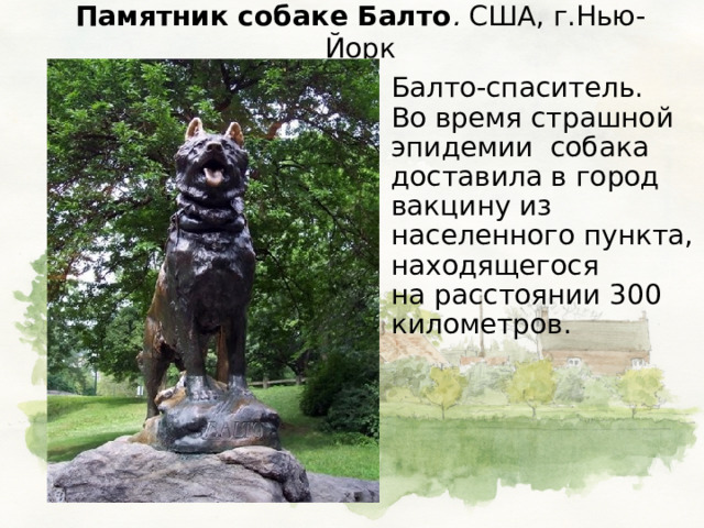 Памятник собаке Балто . США, г.Нью-Йорк  Балто-спаситель.  Во время страшной эпидемии собака доставила в город вакцину из населенного пункта, находящегося  на расстоянии 300 километров. 
