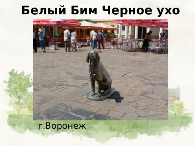 Белый Бим Черное ухо г.Воронеж 