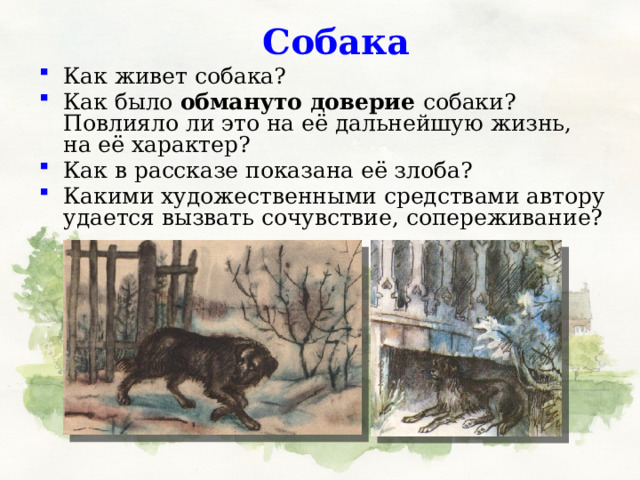 Собака Как живет собака? Как было обмануто доверие собаки? Повлияло ли это на её дальнейшую жизнь, на её характер? Как в рассказе показана её злоба? Какими художественными средствами автору удается вызвать сочувствие, сопереживание? 