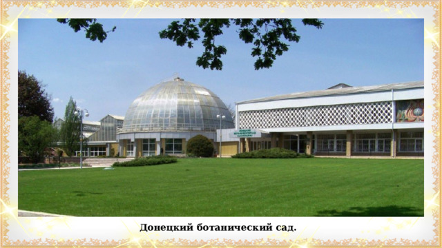 Донецкий ботанический сад. 