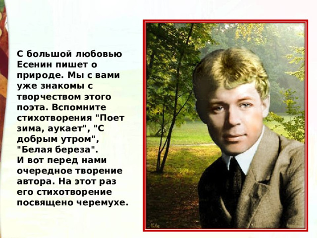 Анализ стихотворения есенина черемуха 5 класс. Стихотворение Есенина о природе. Стихи Есенина. Есенин пишет. Черема Есенин литературное чтение.