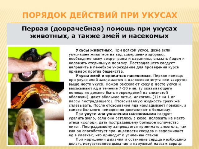 Порядок действий при укусах 