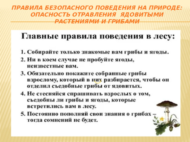 Правила безопасного поведения на природе:  опасность отравления ядовитыми растениями и грибами 