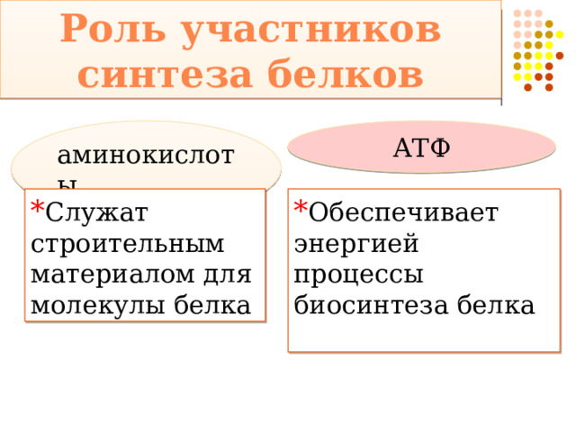 Роль участников синтеза белков аминокислоты АТФ * Служат строительным материалом для молекулы белка * Обеспечивает энергией процессы биосинтеза белка 