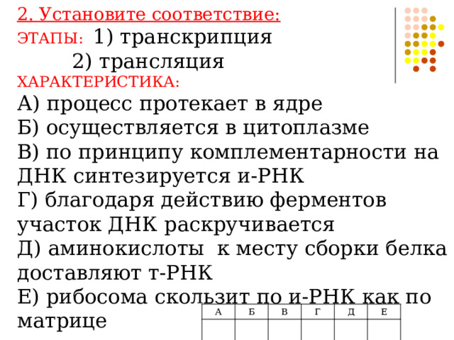 2. Установите соответствие: ЭТАПЫ: 1) транскрипция   2) трансляция ХАРАКТЕРИСТИКА: А) процесс протекает в ядре Б) осуществляется в цитоплазме В) по принципу комплементарности на ДНК синтезируется и-РНК Г) благодаря действию ферментов участок ДНК раскручивается Д) аминокислоты к месту сборки белка доставляют т-РНК Е) рибосома скользит по и-РНК как по матрице А Б В Г Д Е 