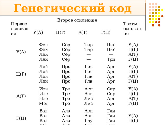 Генетический код Первое  основание Второе основание У(А) У(А) Ц(Г) Ц(Г) Фен  Фен  Лей  Лей А(Т) Сер  Сер  Сер  Сер Лей  Лей  Лей  Лей А(Т) Про  Про  Про  Про Тир  Тир  —  — Г(Ц) Третье  основание Г(Ц) Иле  Иле  Иле  Мет Цис  Цис  —  Три Гис  Гис  Глн  Глн Тре  Тре  Тре  Тре Вал  Вал  Вал  Вал У(А)  Ц(Г)  А(Т)  Г(Ц) Арг  Арг  Арг  Арг Асн  Асн  Лиз  Лиз Ала  Ала  Ала  Ала У(А)  Ц(Г)  А(Т)  Г(Ц) Сер  Сер  Арг  Арг Асп  Асп  Глу  Глу У(А)  Ц(Г)  А(Т)  Г(Ц) Гли  Гли  Гли  Гли У(А)  Ц(Г) 