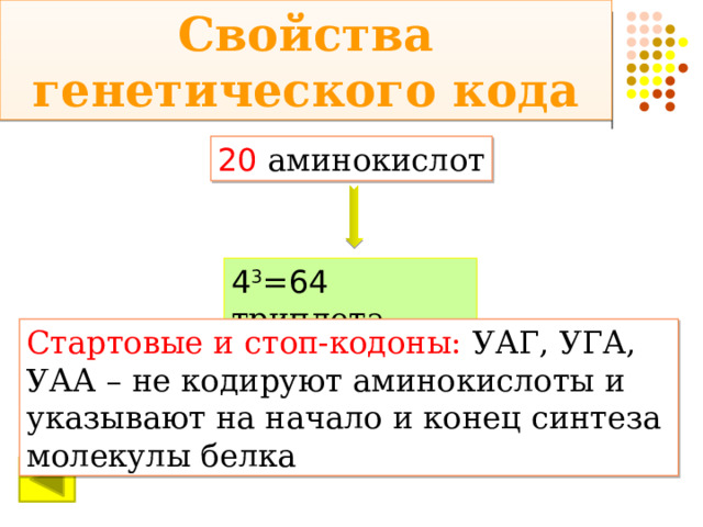 Свойства генетического кода 20  аминокислот 4 3 = 64 триплета Стартовые и стоп-кодоны: УАГ, УГА, УАА – не кодируют аминокислоты и указывают на начало и конец синтеза молекулы белка 