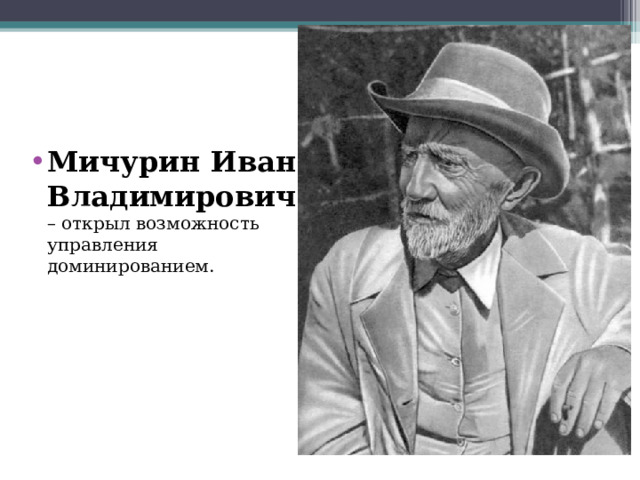 Мичурин Иван Владимирович – открыл возможность управления доминированием.  