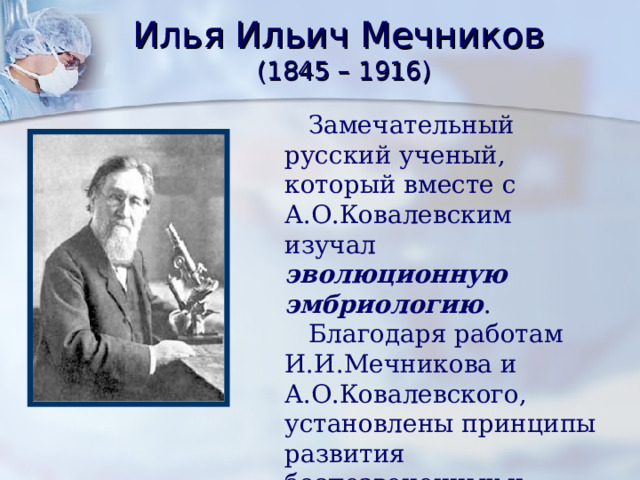 Илья Ильич Мечников  (1845 – 1916)  Замечательный русский ученый, который вместе с А.О.Ковалевским изучал эволюционную эмбриологию .  Благодаря работам И.И.Мечникова и А.О.Ковалевского, установлены принципы развития беспозвоночных и позвоночных животных. 