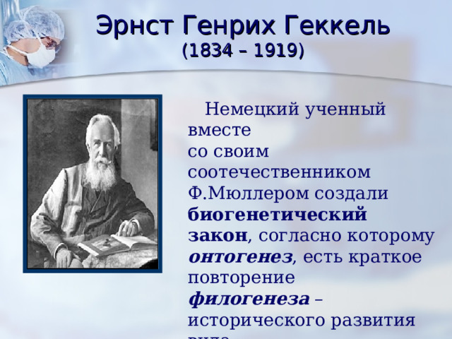 Эрнст Генрих Геккель  (1834 – 1919)  Немецкий ученный вместе со своим соотечественником Ф.Мюллером создали биогенетический закон , согласно которому онтогенез , есть краткое повторение филогенеза – исторического развития вида. 