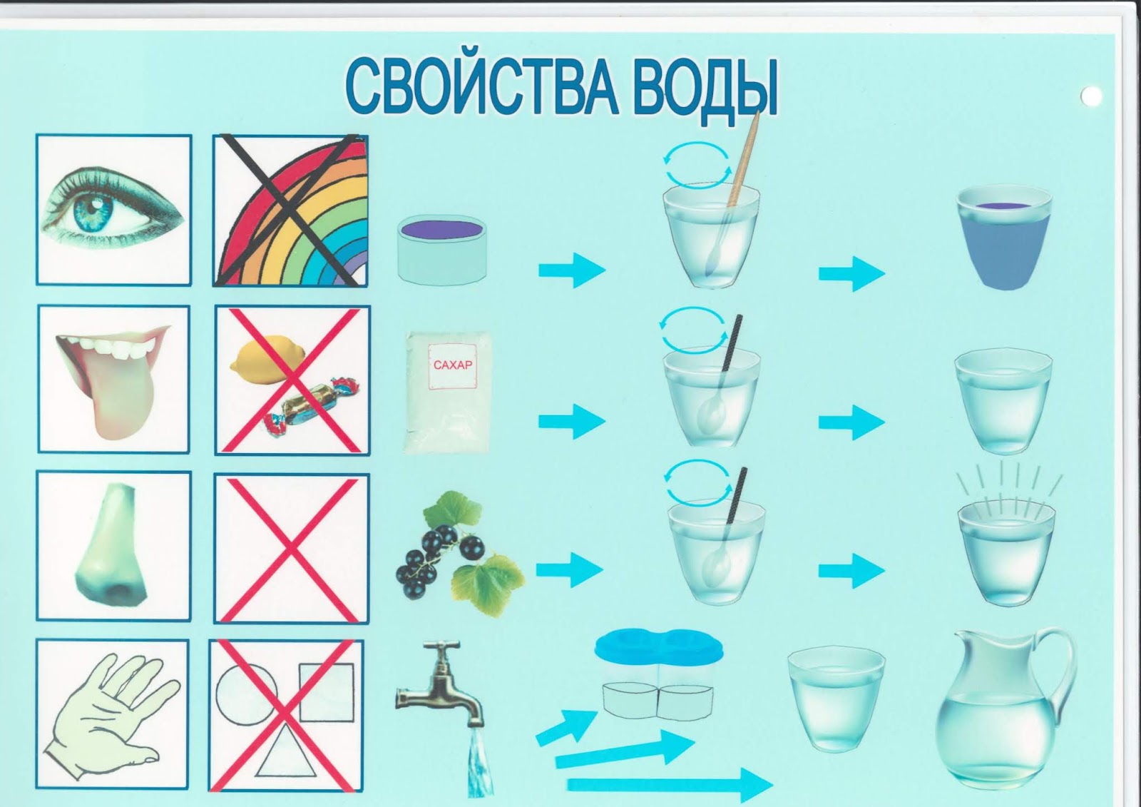 Карточки схемы для фиксации результатов опытов старшая группа