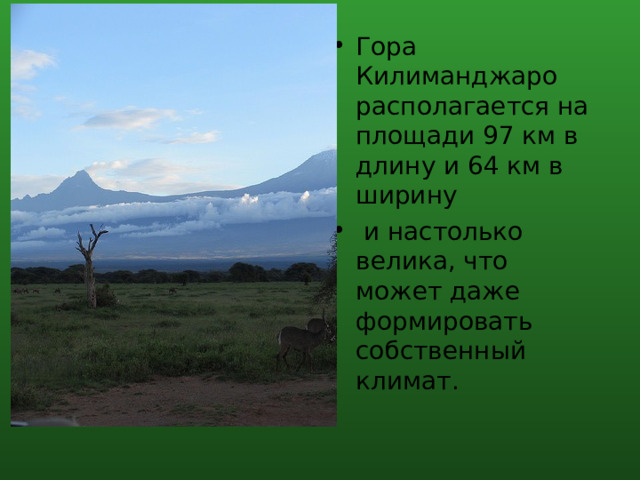 Гора Килиманджаро располагается на площади 97 км в длину и 64 км в ширину  и настолько велика, что может даже формировать собственный климат. 