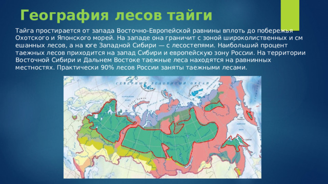 Презентация про тайгу 8 класс география