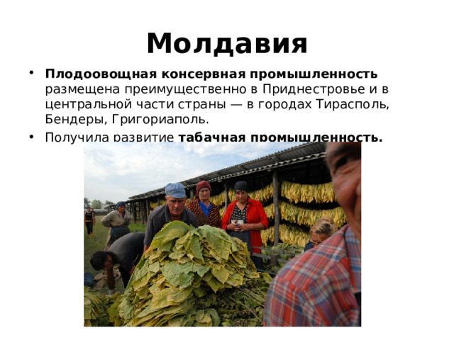 Молдавия Плодоовощная консервная промышленность размещена преимущественно в Приднестровье и в центральной части страны — в городах Тирасполь, Бендеры, Григориаполь. Получила развитие табачная промышленность. 