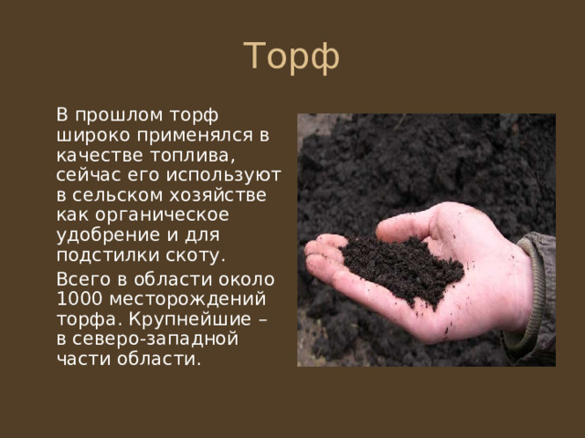  В прошлом торф широко применялся в качестве топлива, сейчас его используют в сельском хозяйстве как органическое удобрение и для подстилки скоту.  Всего в области около 1000 месторождений торфа. Крупнейшие – в северо-западной части области. 