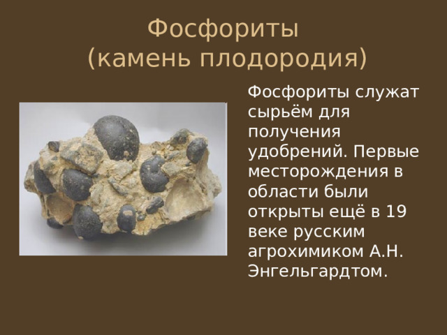 Фосфориты  (камень плодородия)  Фосфориты служат сырьём для получения удобрений. Первые месторождения в области были открыты ещё в 19 веке русским агрохимиком А.Н. Энгельгардтом. 