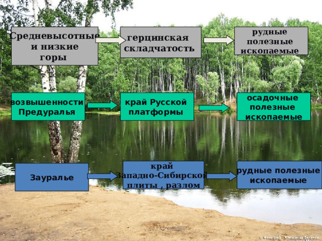 герцинская складчатость  рудные полезные ископаемые  Средневысотные  и низкие горы осадочные полезные ископаемые возвышенности Предуралья  край Русской платформы  рудные полезные ископаемые  край Западно-Сибирской плиты , разлом Зауралье  