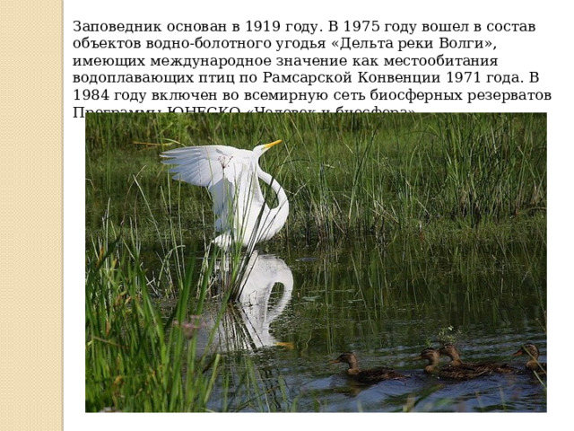 Заповедник основан в 1919 году. В 1975 году вошел в состав объектов водно-болотного угодья «Дельта реки Волги», имеющих международное значение как местообитания водоплавающих птиц по Рамсарской Конвенции 1971 года. В 1984 году включен во всемирную сеть биосферных резерватов Программы ЮНЕСКО «Человек и биосфера» .  
