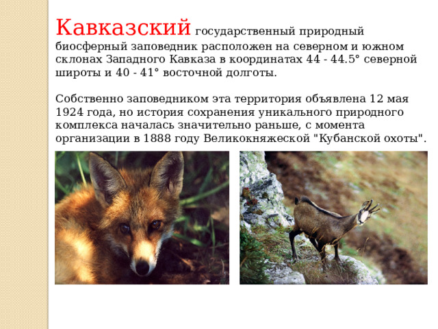 Кавказский государственный природный биосферный заповедник расположен на северном и южном склонах Западного Кавказа в координатах 44 - 44.5° северной широты и 40 - 41° восточной долготы.   Собственно заповедником эта территория объявлена 12 мая 1924 года, но история сохранения уникального природного комплекса началась значительно раньше, с момента организации в 1888 году Великокняжеской 