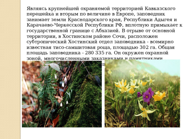 Являясь крупнейшей охраняемой территорией Кавказского перешейка и вторым по величине в Европе, заповедник занимает земли Краснодарского края, Республики Адыгея и Карачаево-Черкесской Республики РФ, вплотную примыкает к государственной границе с Абхазией. В отрыве от основной территории, в Хостинском районе Сочи, расположен субтропический Хостинский отдел заповедника - всемирно известная тисо-самшитовая роща, площадью 302 га. Общая площадь заповедника - 280 335 га. Он окружен охранной зоной, многочисленными заказниками и памятниками природы, а к его южной границе примыкает Сочинский национальный парк.  