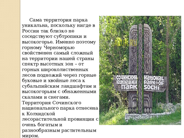 Сама территория парка уникальна, поскольку нигде в России так близко не соседствуют субтропики и высокогорье. Именно поэтому горному Черноморью свойственен самый сложный на территории нашей страны спектр высотных зон – от горных широколиственных лесов подножий через горные буковые и хвойные леса к субальпийским ландшафтам и высокогорьям с обнаженными скалами и снегами. Территория Сочинского национального парка отнесена к Колхидской лесорастительной провинции с очень богатым и разнообразным растительным миром. 